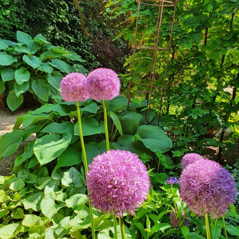 18. Juni: AFTENåben romantisk have i V.Aaby : “Helle Aagaard´s have” m/salg af jernpynt & planter